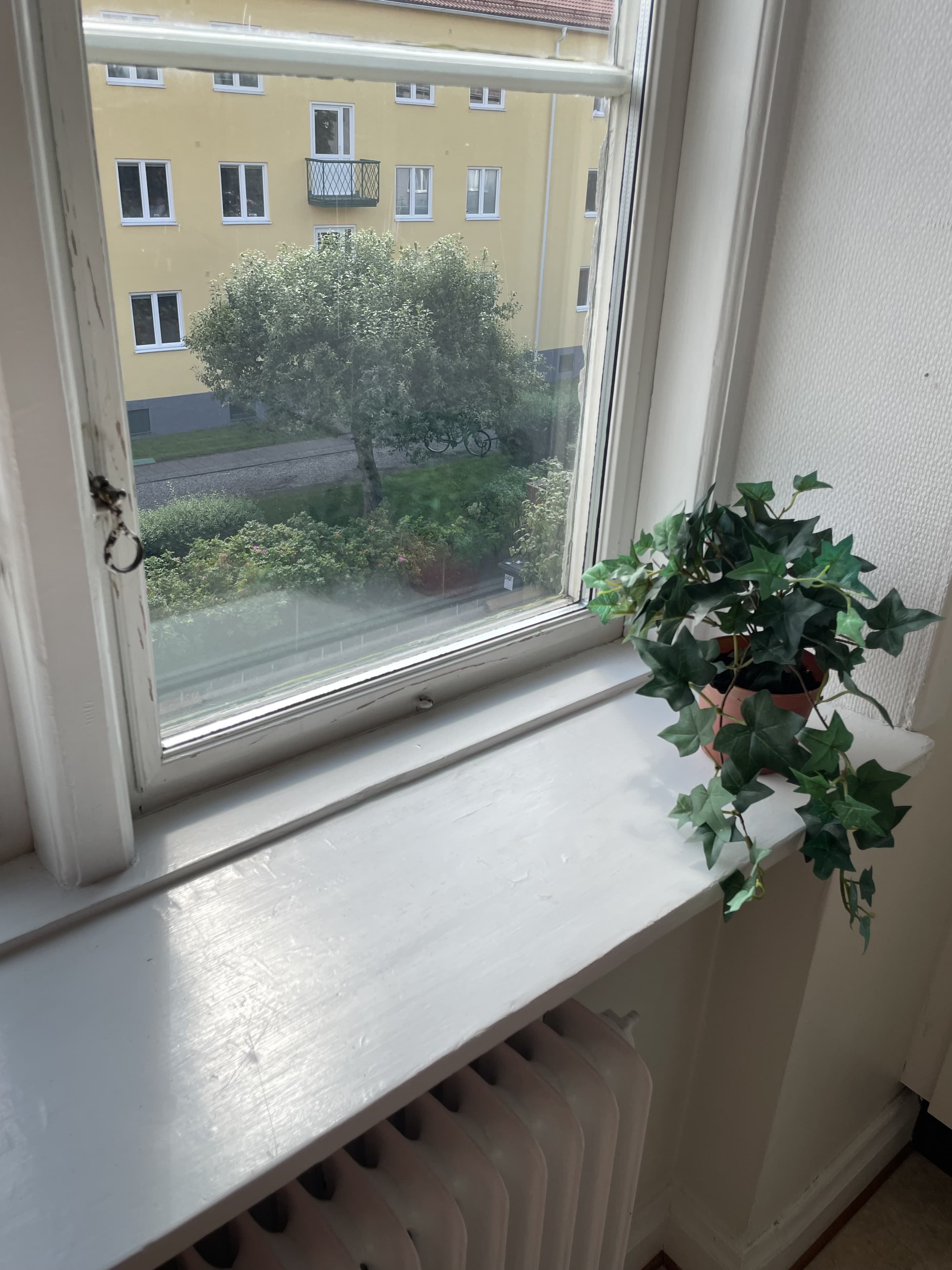 Fönster med utsikt